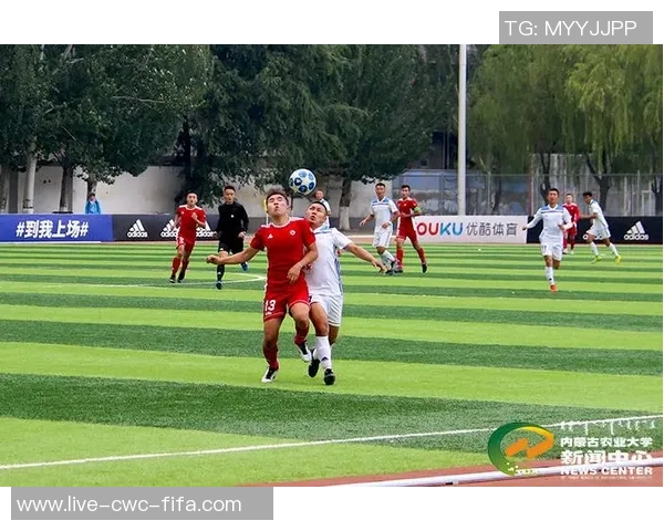 福州仓山足球崛起之路探索地方足球文化与青少年发展新模式 福州仓山足球崛起之路探索地方足球文化与青少年发展新模式