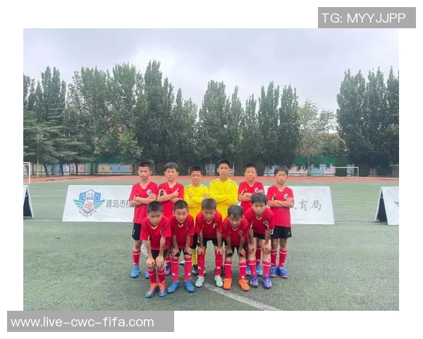 足球冠军的背后故事与点赞文化的奇妙交织