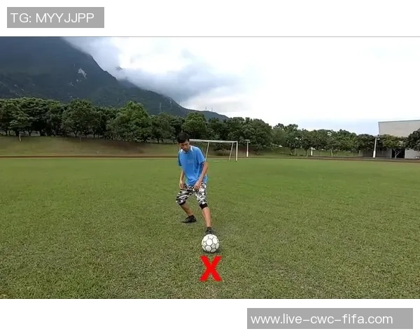 足球各位置缩写详解及其在比赛中的重要性分析