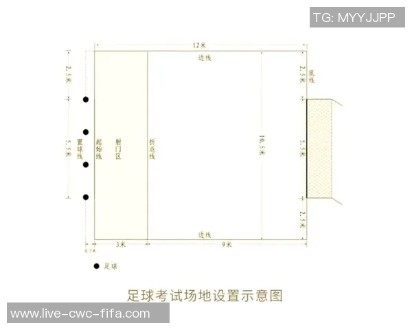 足球场的四线与比赛策略的深层联系探讨